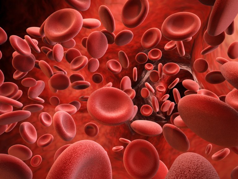 Deadly threat 7 signs that there may be blood clots in the body